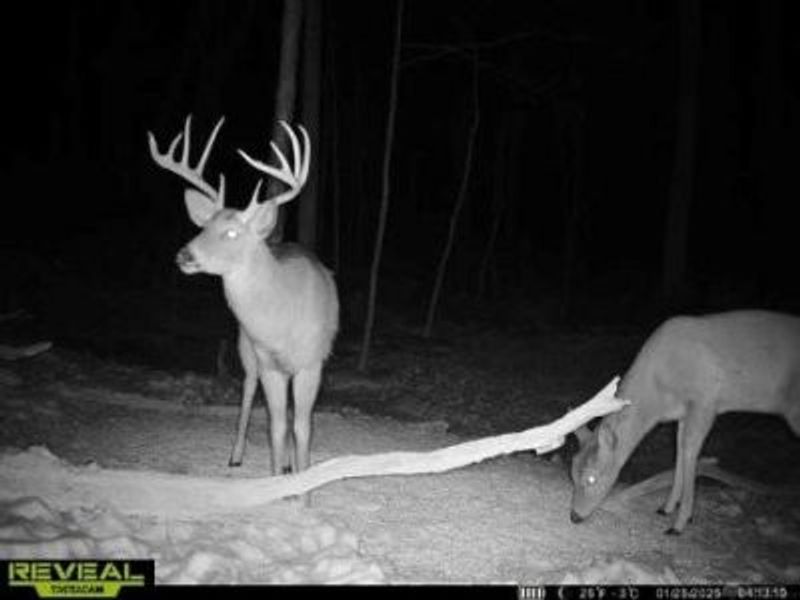 135 Union Hill Road, Peebles, OH 45660 Photo 46