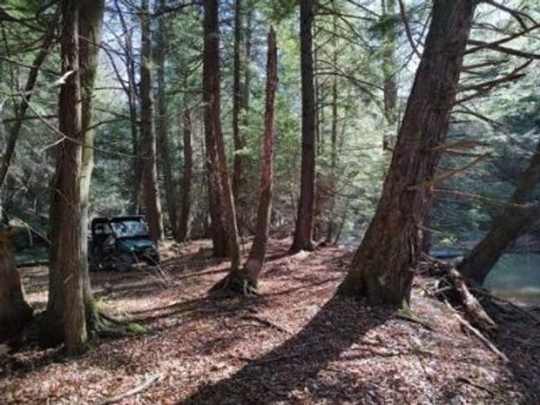 000 Laurel Road , Sligo, PA 16255