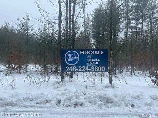 V/L 1 Mile Road, Ellsworth Twp, MI 49655