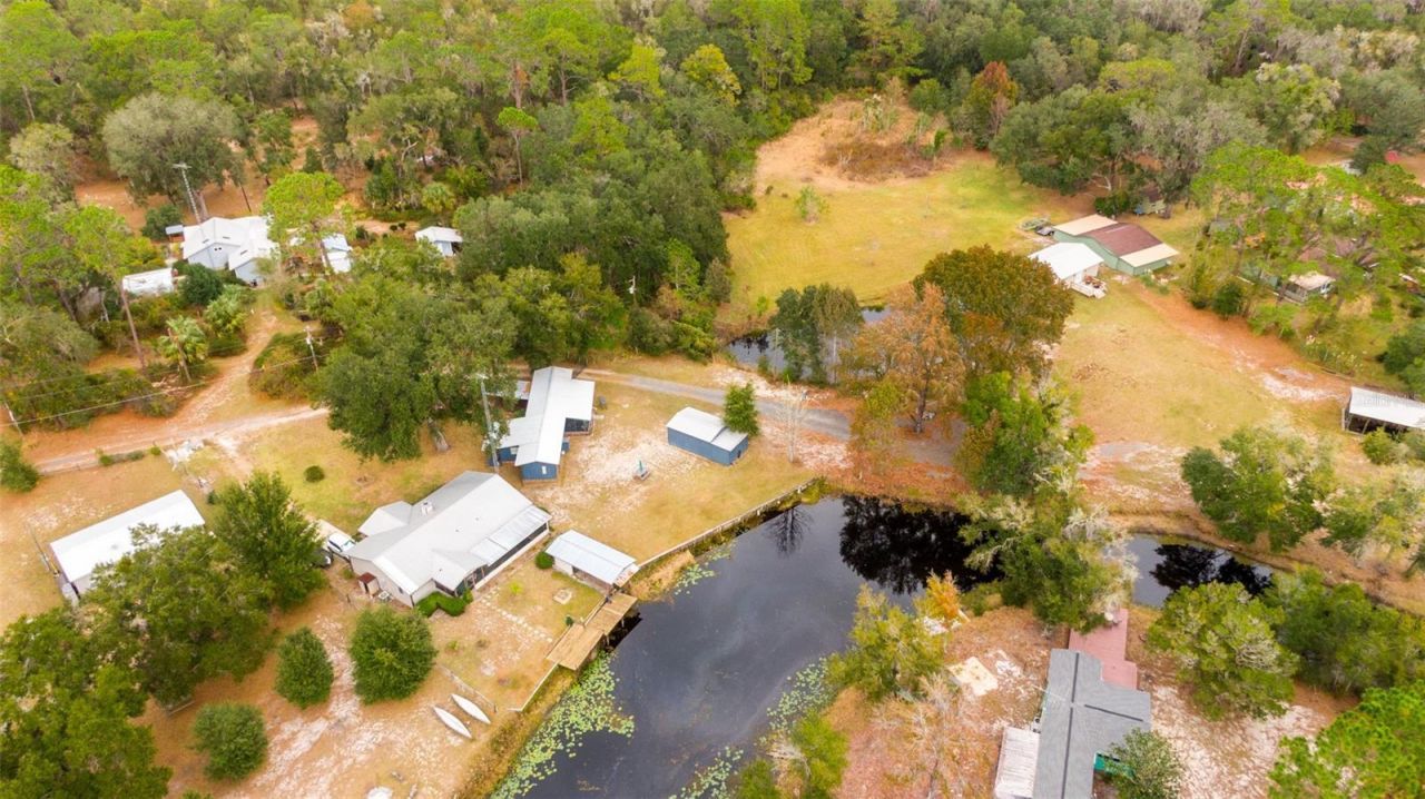 21162 NE 146th Place, Salt Springs, FL 32134 Photo