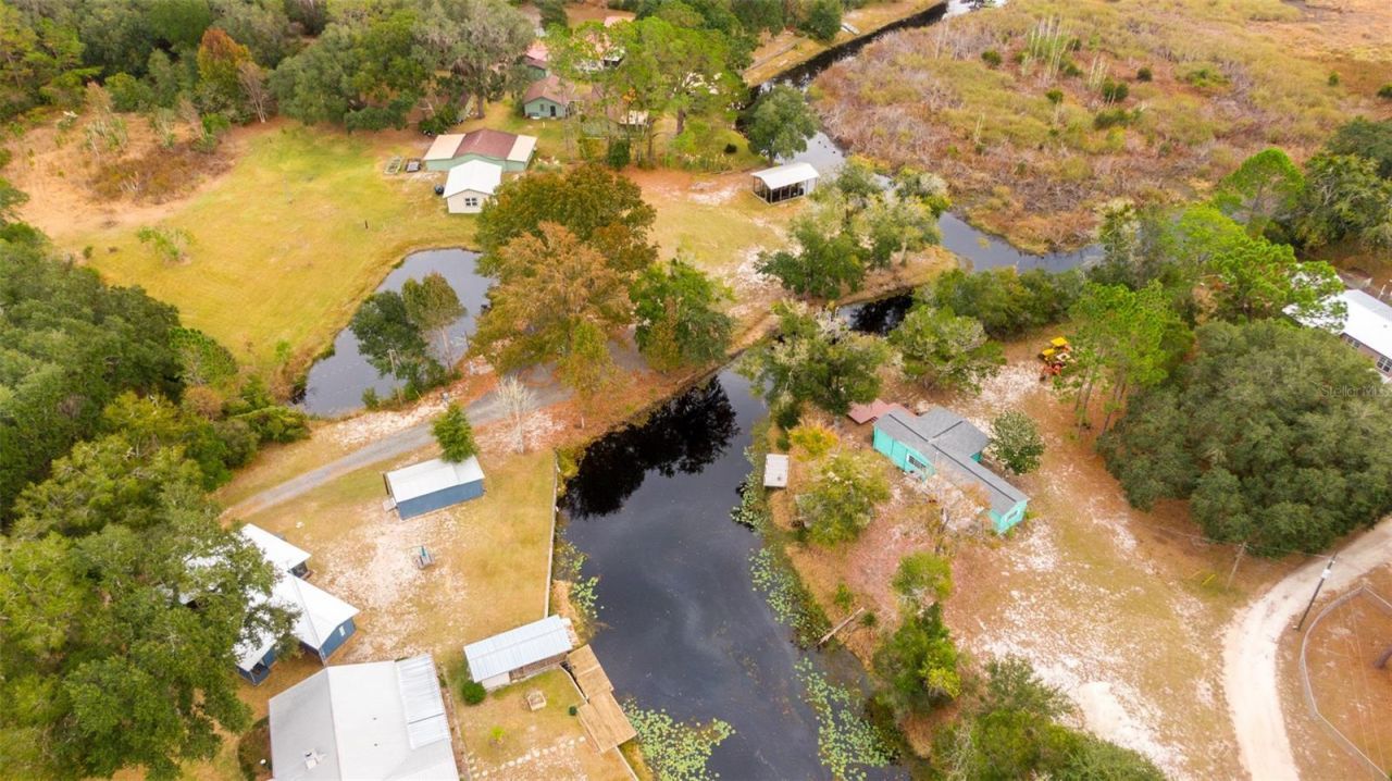 21162 NE 146th Place, Salt Springs, FL 32134 Photo