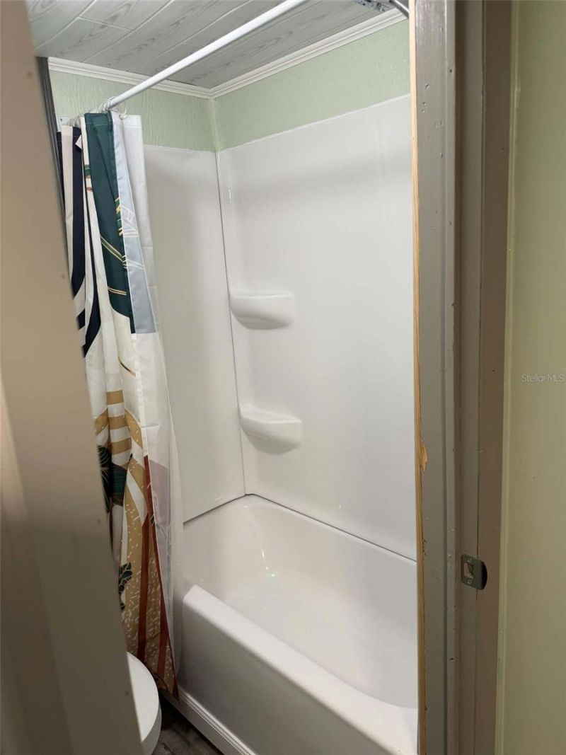 21162 NE 146th Place, Salt Springs, FL 32134 Photo