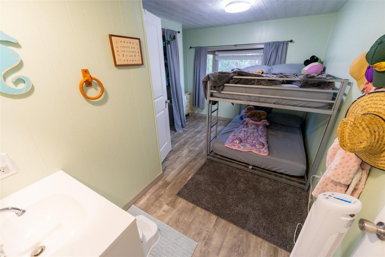 21162 NE 146th Place, Salt Springs, FL 32134 Photo