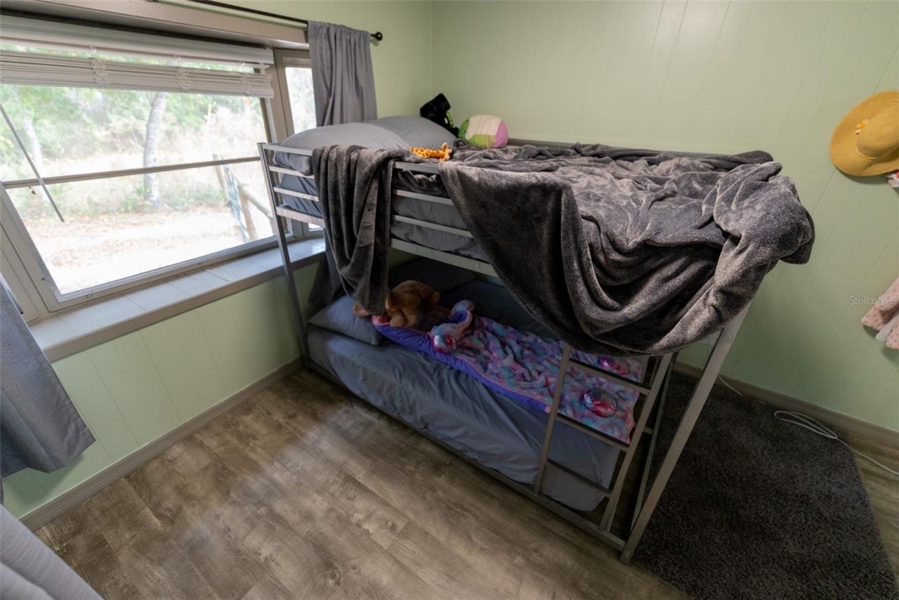 21162 NE 146th Place, Salt Springs, FL 32134 Photo