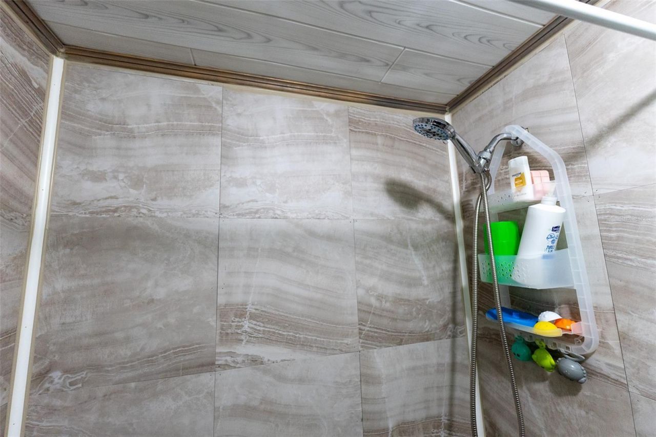 21162 NE 146th Place, Salt Springs, FL 32134 Photo