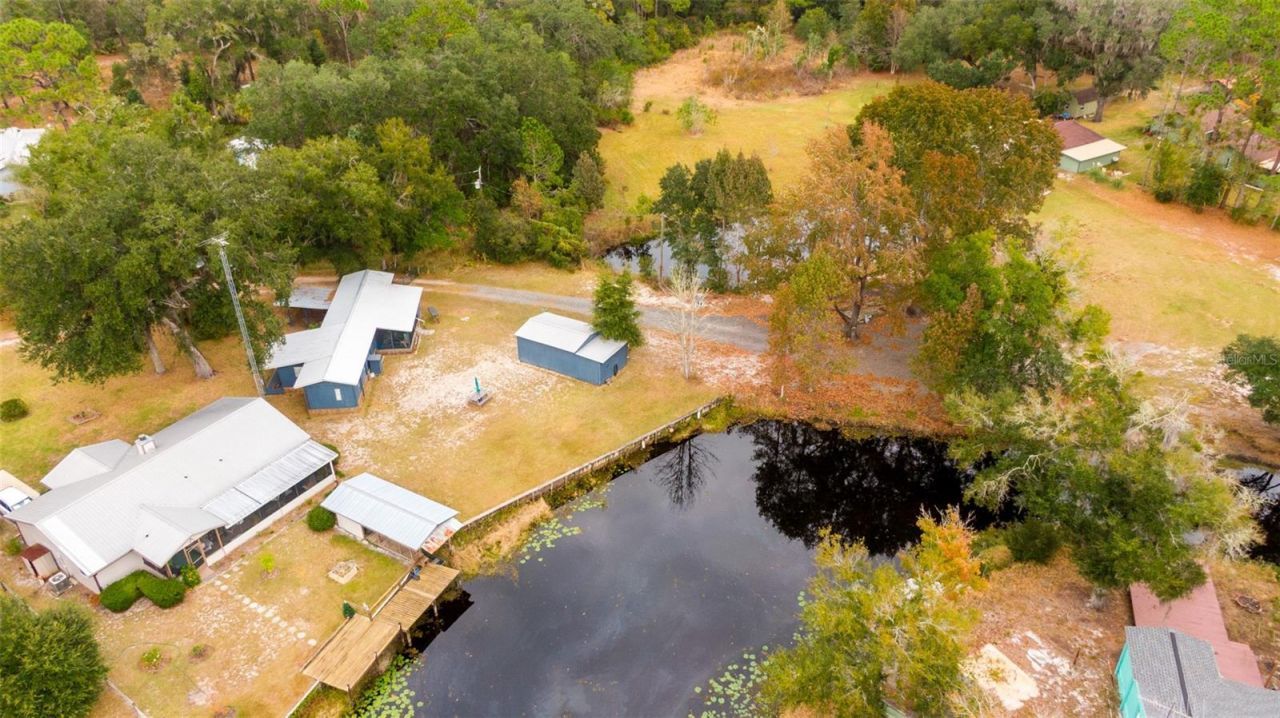 21162 NE 146th Place, Salt Springs, FL 32134 Photo