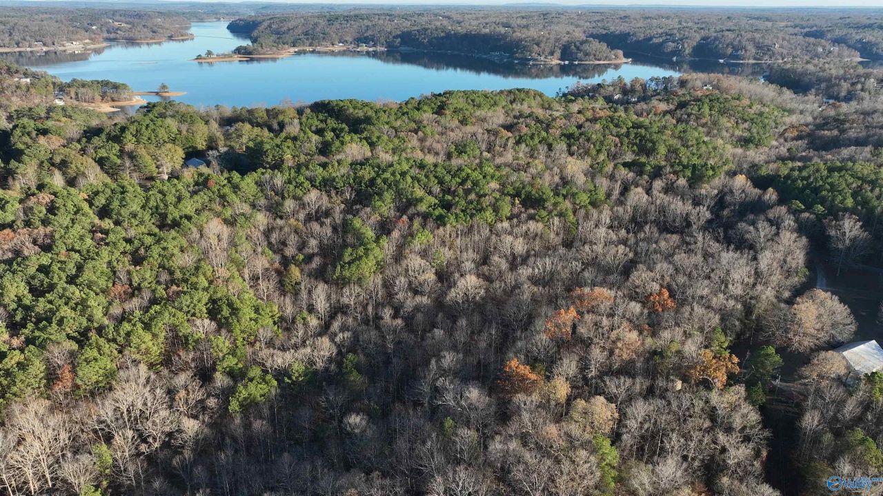 1275 -a County Road 871, Crane Hill, AL 35053 Main Photo