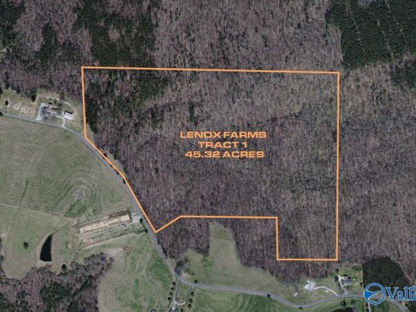 45.32 Acres Latham, Eva, AL 35621
