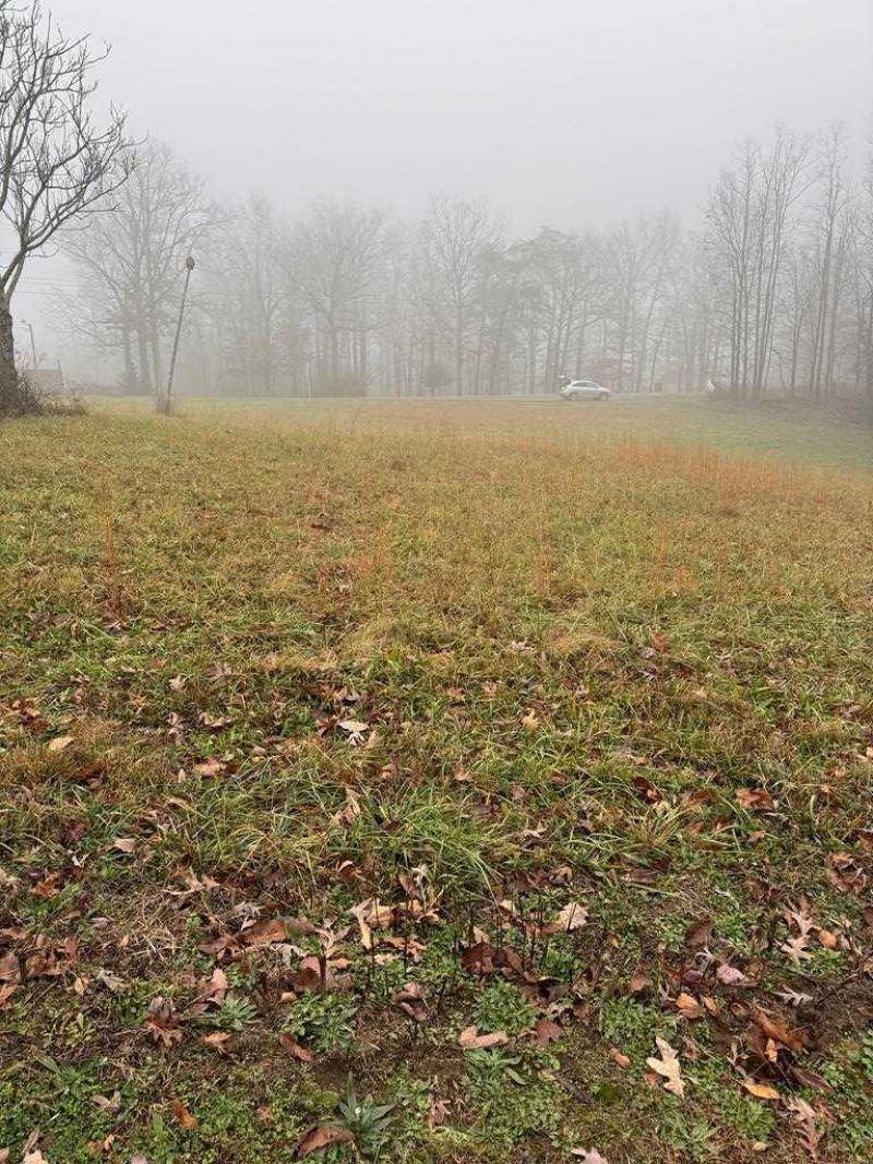 1479 Bee Rock Road, Monterey, TN 38574 Main Photo