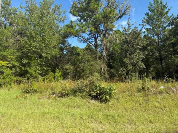 Tbd 79th Terrace Road, Dunnellon, FL 34432
