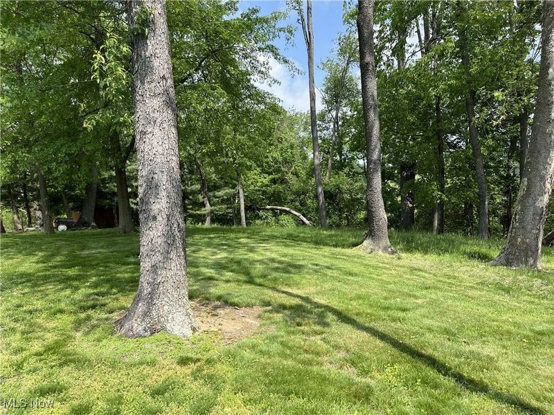 58611 Sharon Boulevard, Rayland, OH 43943 Photo 33