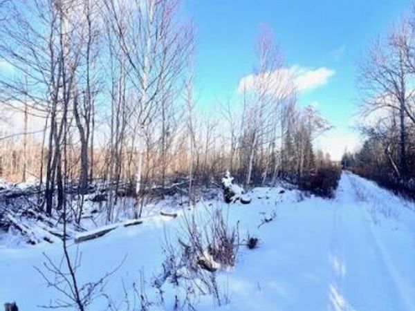 M8 P/O 1 Drews Mill Road , Linneus, ME 04730