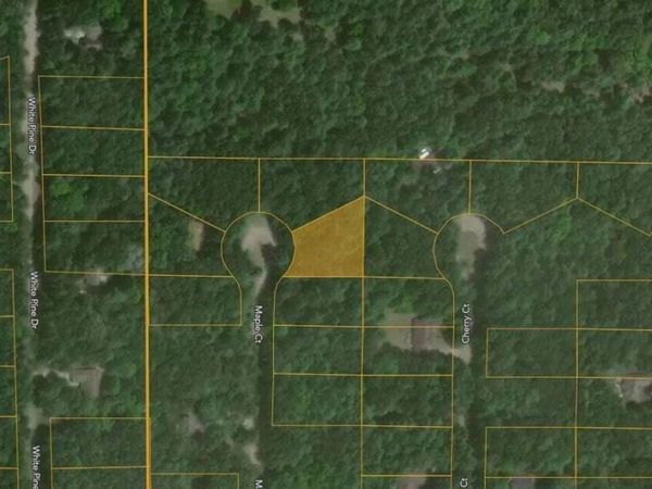 6824 Maple Court, Canadian Lakes, MI 49346