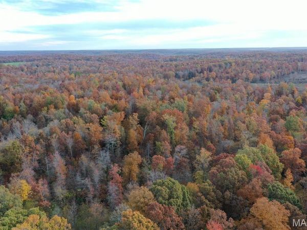 TBD Tract 3 Bobwhite Lane, Fairdealing, MO 63939