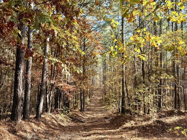 0 Laws Hill Road, Holly Springs, MS 38635