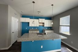 1732 Promise Pl. photo 4