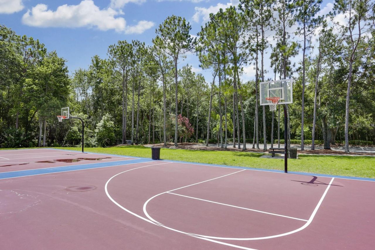 9831 Meadow Field Circle, Unit 9831, Tampa, FL 33626 Photo