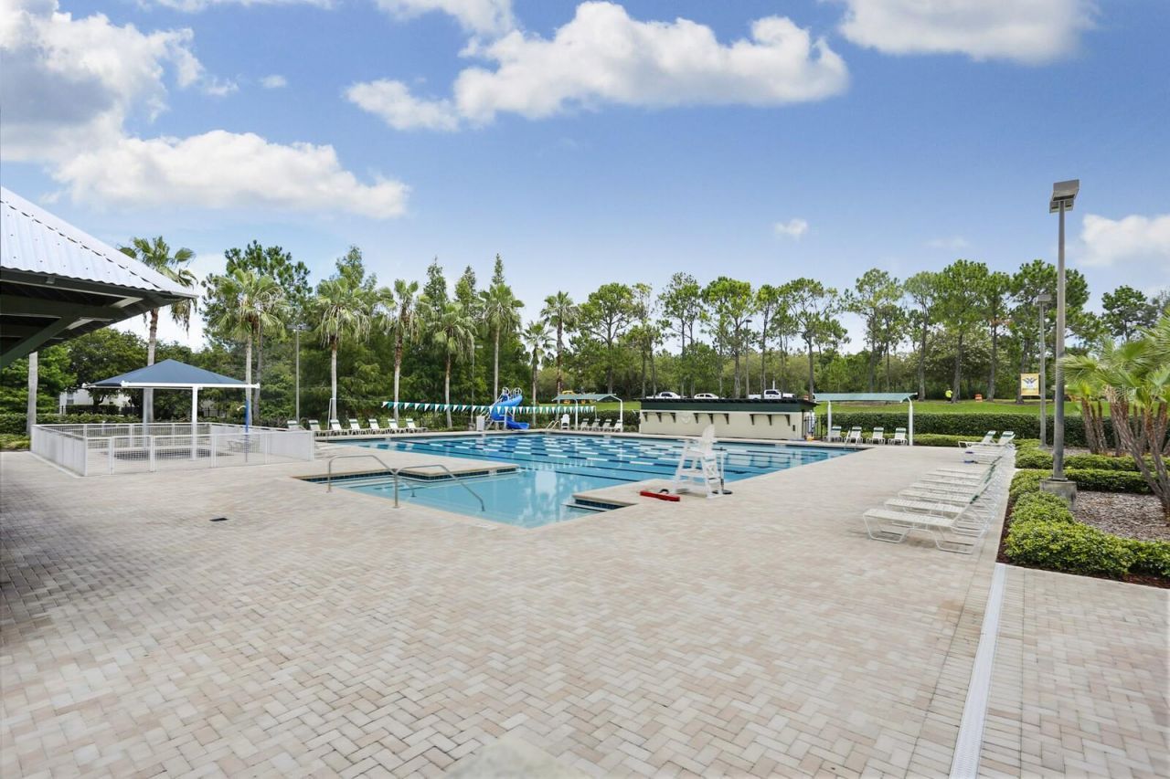 9831 Meadow Field Circle, Unit 9831, Tampa, FL 33626 Photo