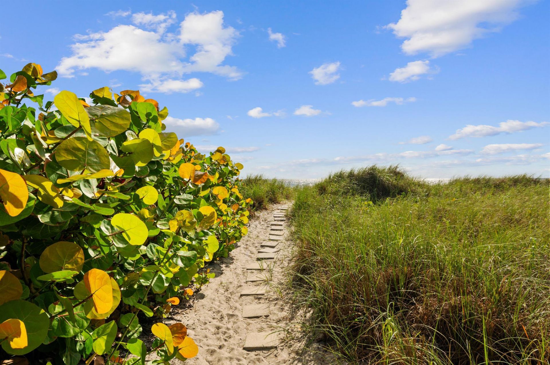 2200 S Ocean Boulevard, Unit 202, Delray Beach, FL 33483 Photo