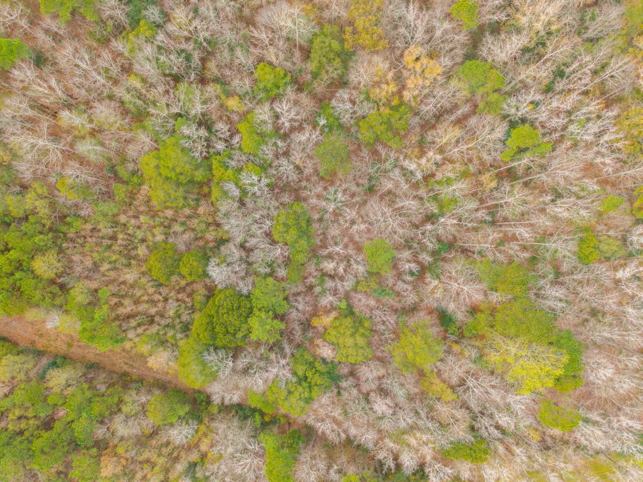 263 Haynesville Ext Photo 25