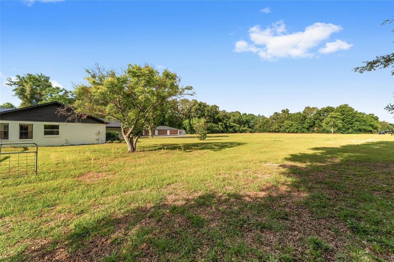10575 SW 27th Avenue, Ocala, FL 34476 Photo