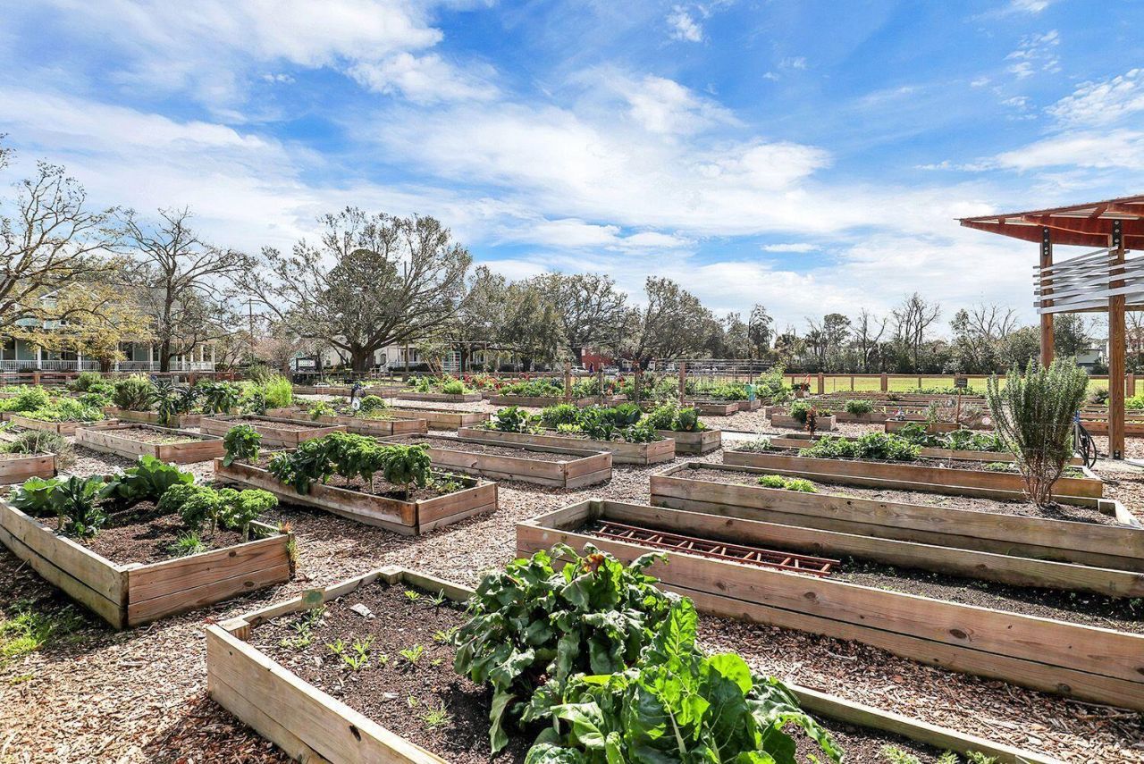 208 Gordon Street Photo 105