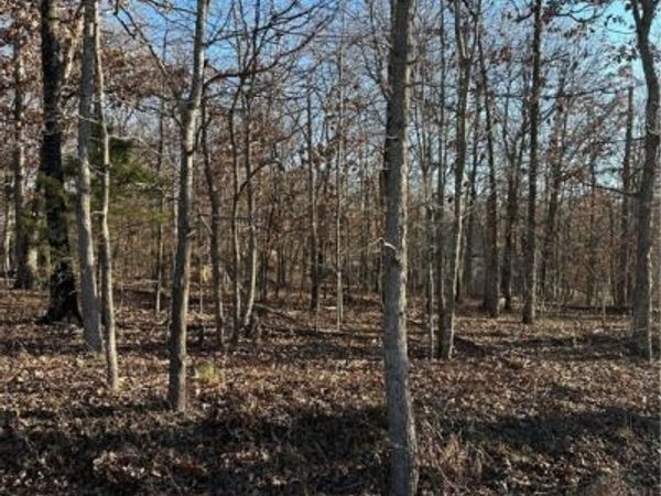 Lot 17 Peebles Lane, Bella Vista, AR 72715