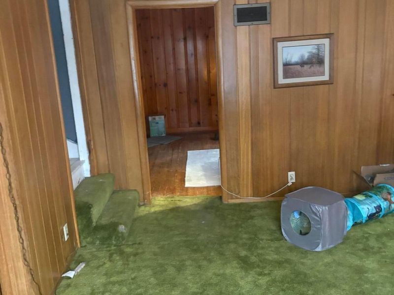 102 Cedar Street S, Danville, OH 43014 Photo 21