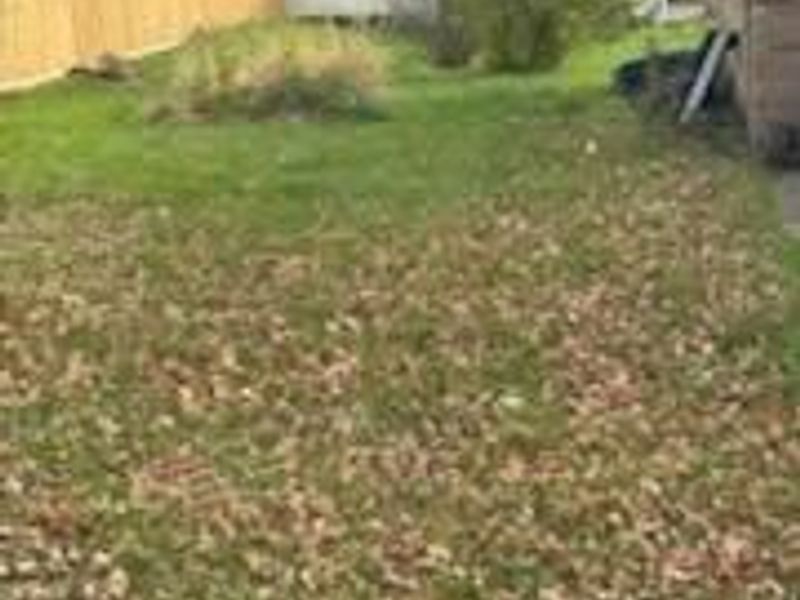 102 Cedar Street S, Danville, OH 43014 Photo 35