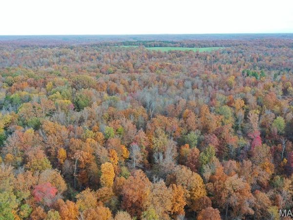 TBD Tract 5 Bobwhite Lane, Fairdealing, MO 63939