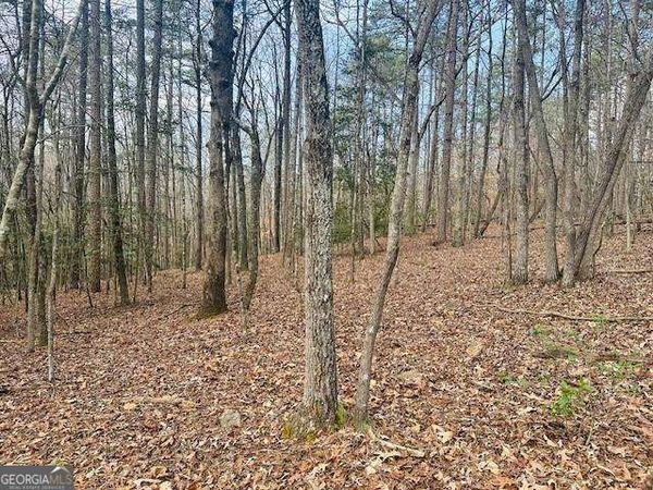LOT 28 Fern Park Drive, Dawsonville, GA 30534