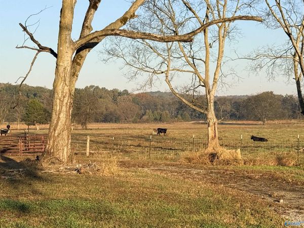 53 Acres County Road 41 W, Danville, AL 35619