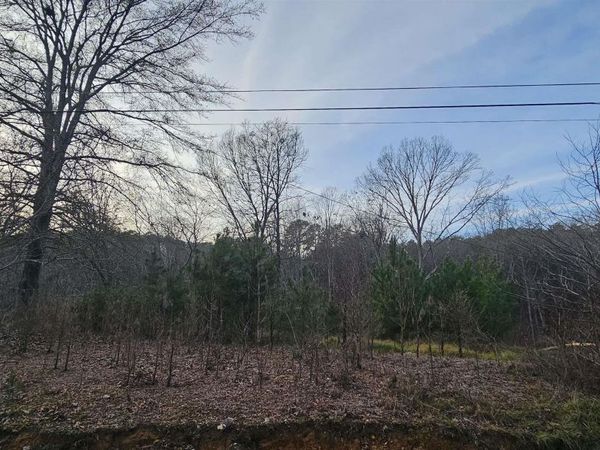 .37+/- Lot Park Road, Fort Payne, AL 35967
