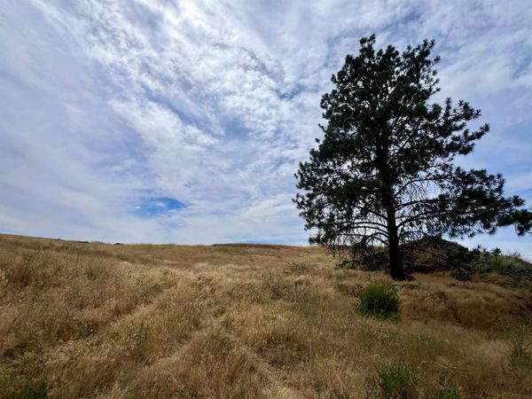 402 E Porak St, Sprague, WA 99032