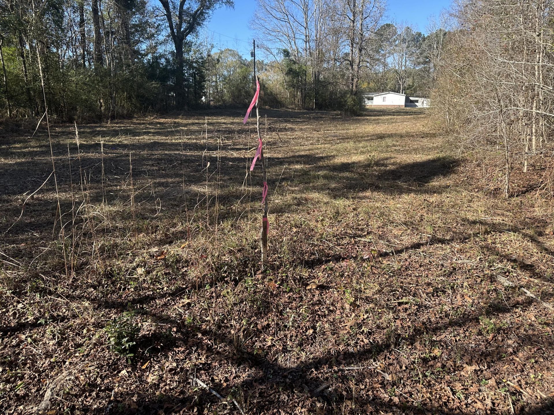 00 Bishopville Road Photo 12