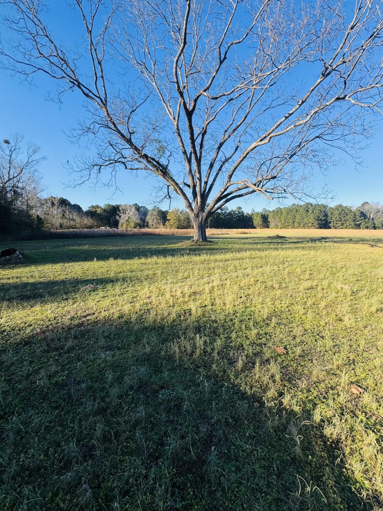 00 Bishopville Road Photo 4