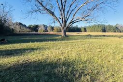 00 Bishopville Road photo 4