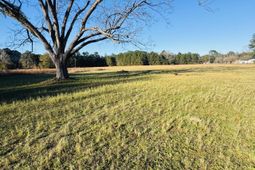 00 Bishopville Road photo 4