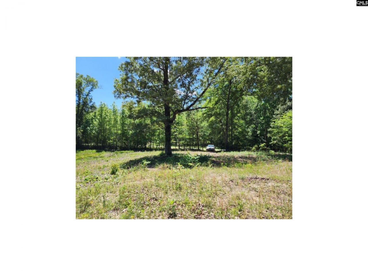 125 Meadow Lane Photo 11