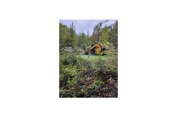 125 Meadow Lane photo 4