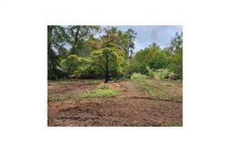 125 Meadow Lane photo 4