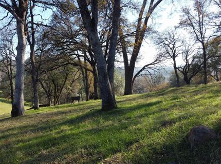 23021 Darkhorse Drive, Auburn, CA 95602 Photo