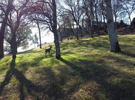 23021 Darkhorse Drive, Auburn, CA 95602 Photo