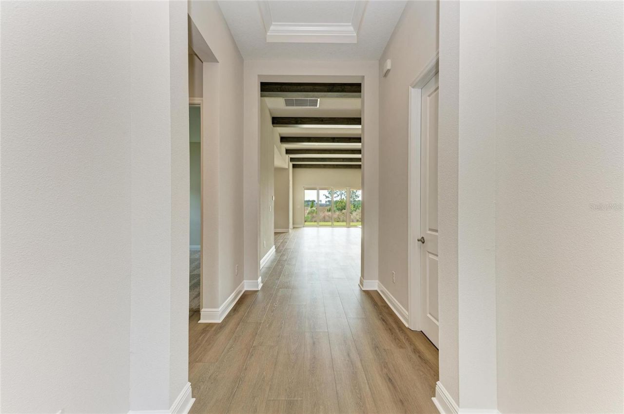 35244 Big Hawk Drive, Zephyrhills, FL 33541 Photo