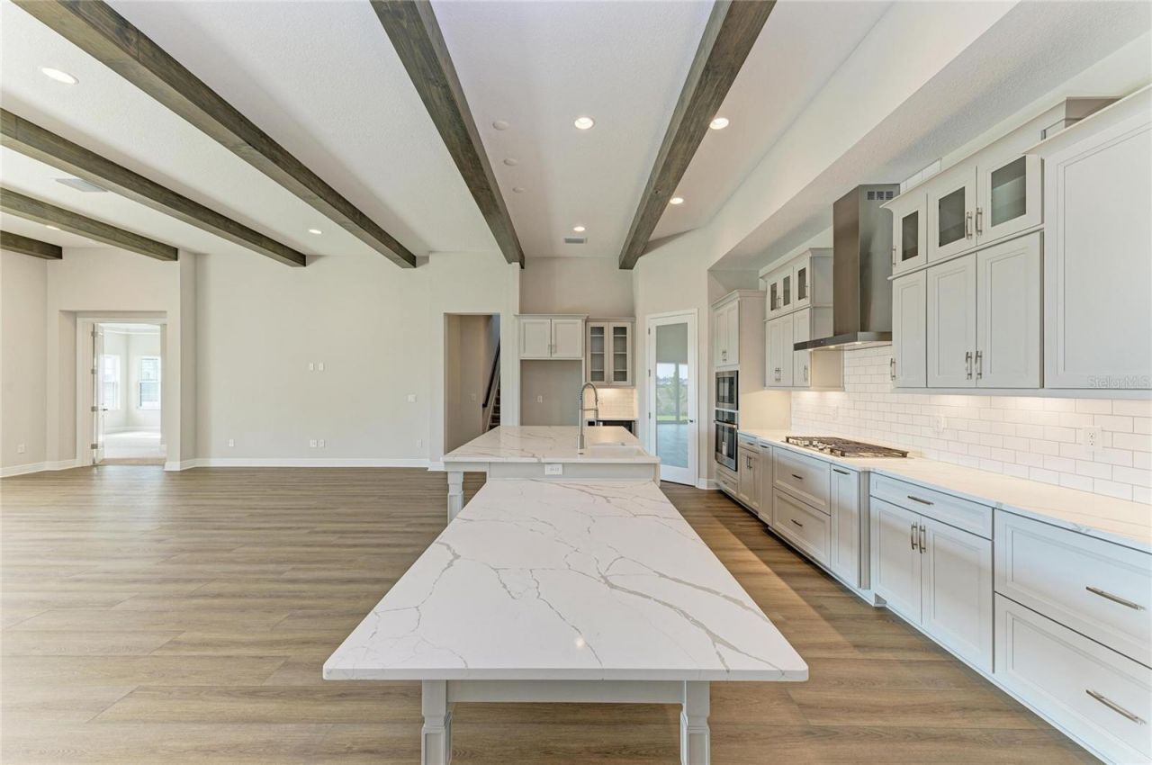 35244 Big Hawk Drive, Zephyrhills, FL 33541 Photo