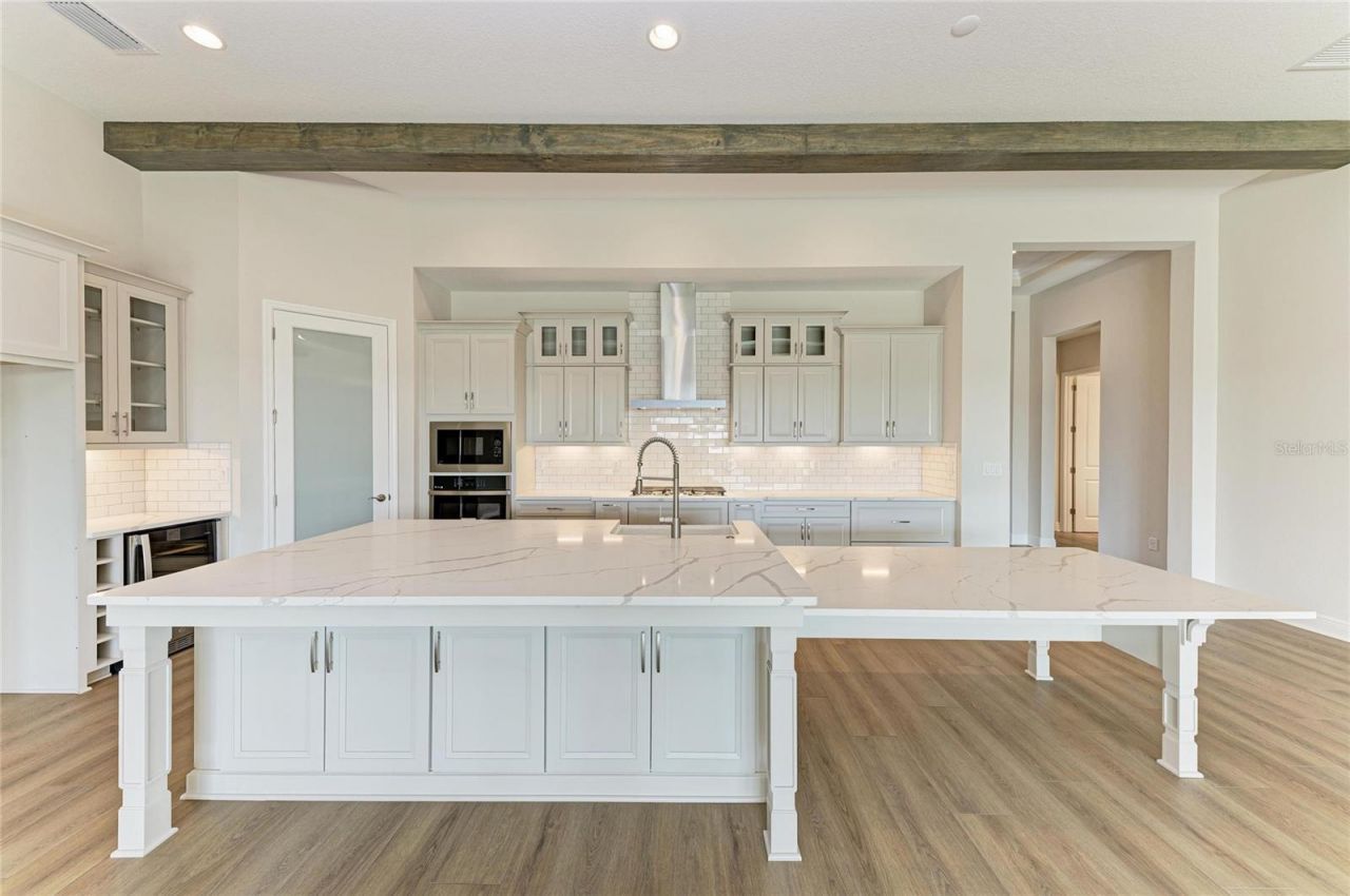 35244 Big Hawk Drive, Zephyrhills, FL 33541 Photo