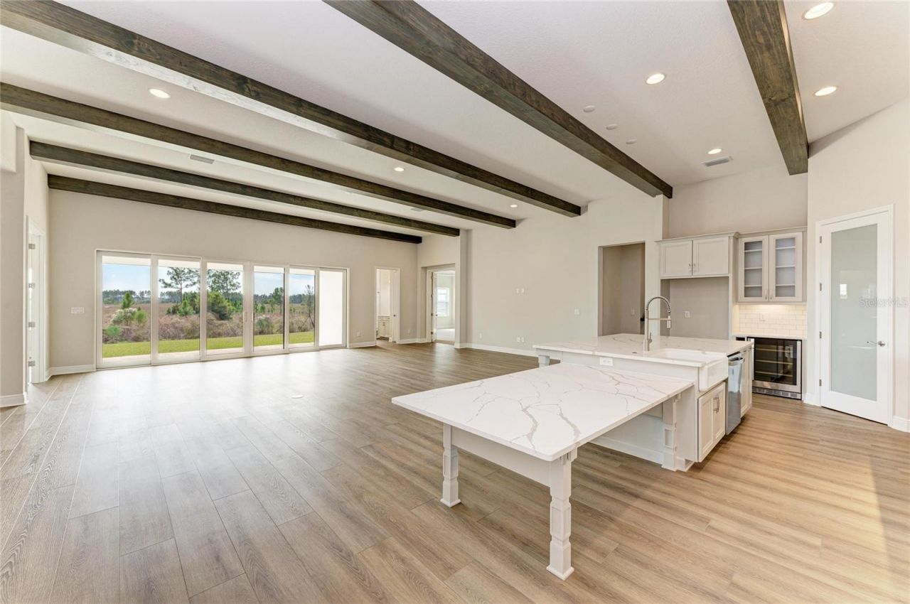 35244 Big Hawk Drive, Zephyrhills, FL 33541 Photo