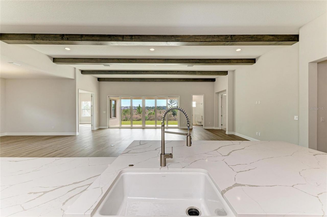 35244 Big Hawk Drive, Zephyrhills, FL 33541 Photo