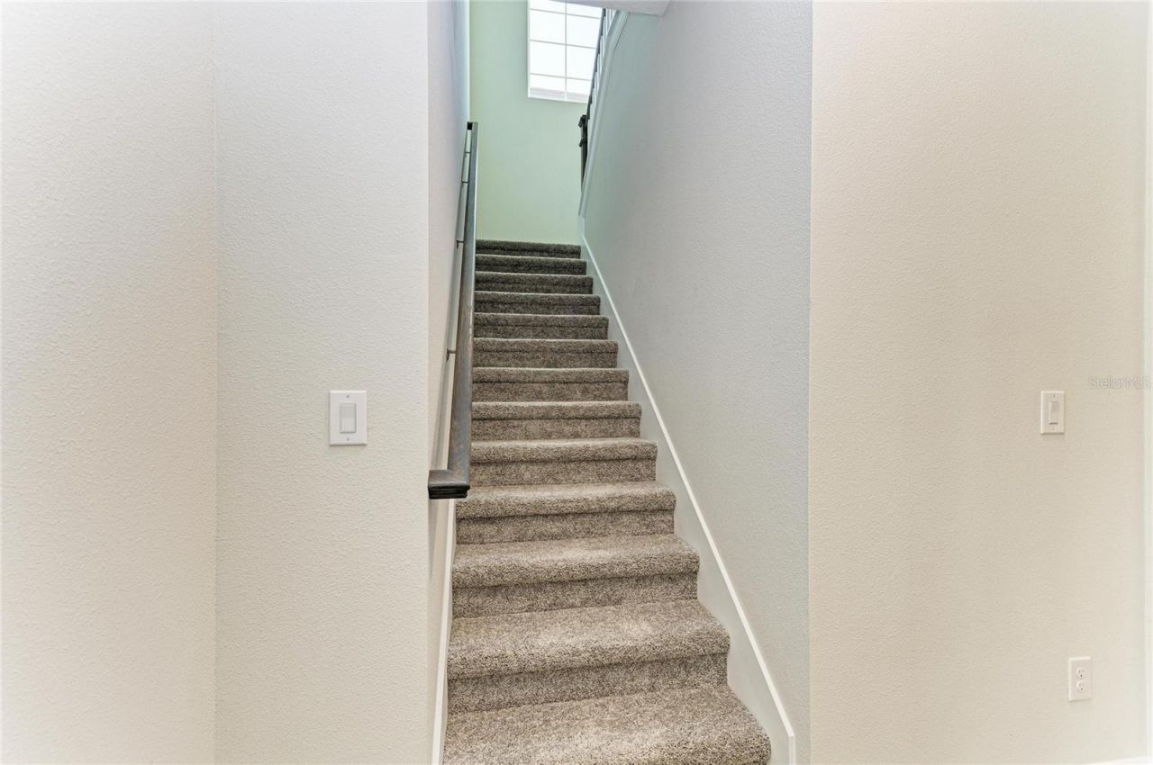 35244 Big Hawk Drive, Zephyrhills, FL 33541 Photo