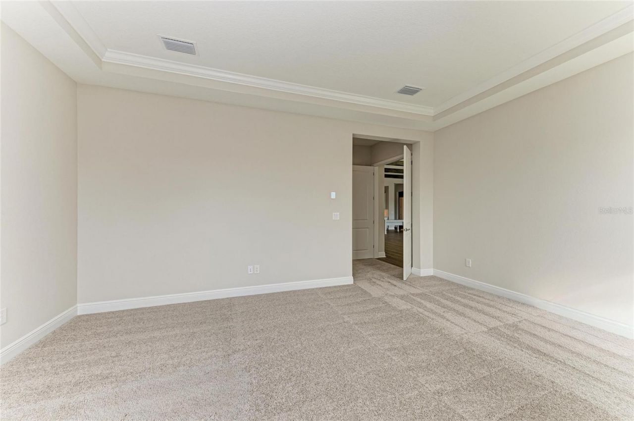 35244 Big Hawk Drive, Zephyrhills, FL 33541 Photo